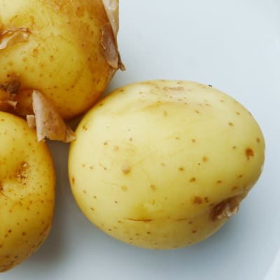 Uutta perunaa.