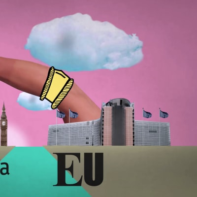 Mikä brittejä pännii EU:ssa?