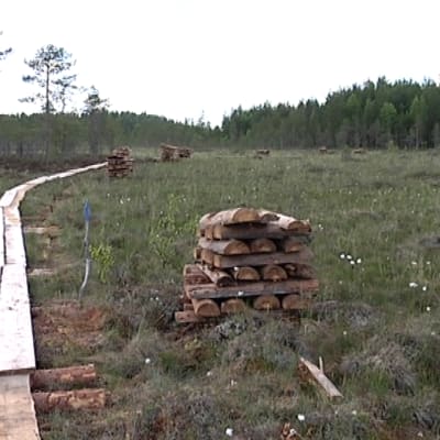 Salamajärven kansallispuiston pitkospuutalkoot rahoitettiin joukkorahoituksella.