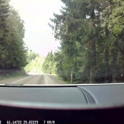 Karhu tien laidassa autokameralla kuvattuna.