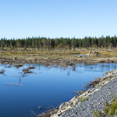 Latosuon allas Terrafamen kaivosalueella.