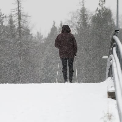 Nainen sauvakävelee lumipyryssä.