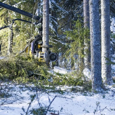 Metsätyökone