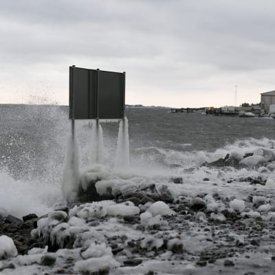 Myrskytuulta Helsingissä 12. tammikuuta 2017.