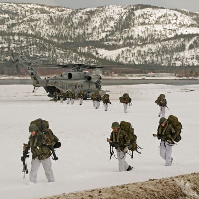 Norjan, Yhdysvaltain, Hollannin ja Iso-Britannian joukot osallistuivat NATO:n sotaharjoitukseen Norjassa 3. maaliskuuta 2016. 