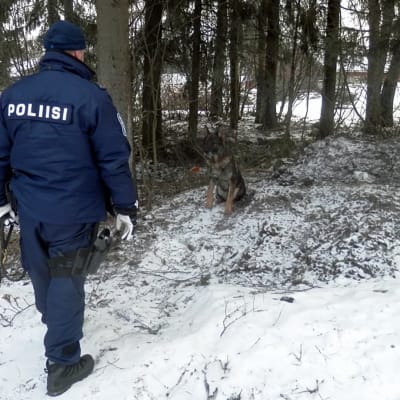 Kuvassa poliisi ja koira suorittamassa etsintää Pietarsaaressa
