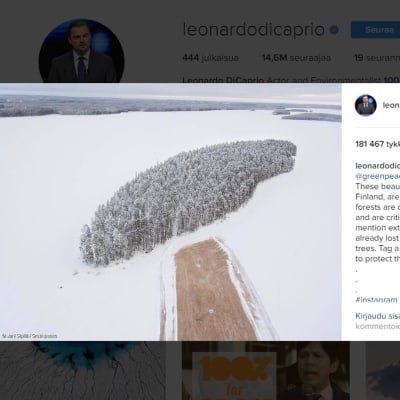 Kuvakaappaus Instagramista, jossa auki Leonardo DiCaprion tekemä päivitys.