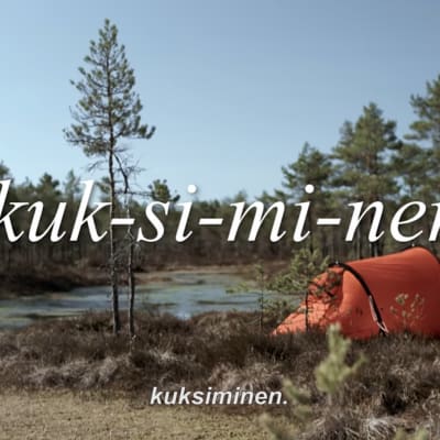 Kuvakaappaus FRSU:n videosta.