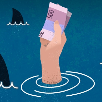 Grafiikka jossa hait pyörivät rahaa pitelevän käden ympärillä.
