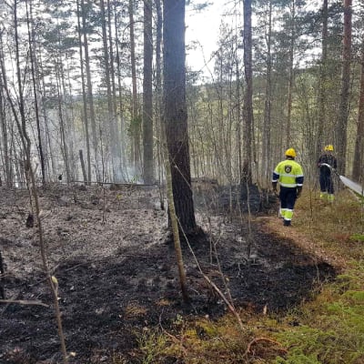Maastopaloa sammutetaan Jyväskylässä.
