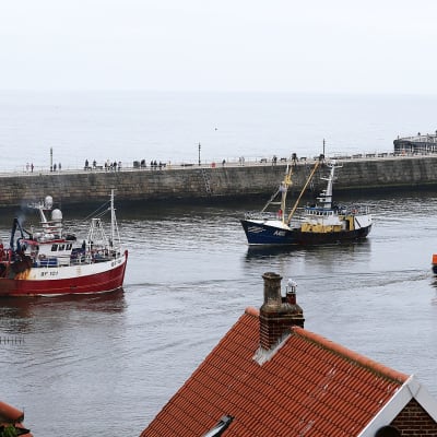 Kalastusaluksia Whitbyn satamassa Pohjois-Englannissa.