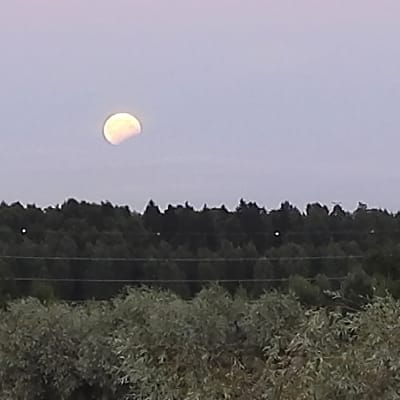 Kännykäkameralla kuvattu osittainen kuunpimennys maanantaina 7.8.2017.  Kun osittainen pimennys oli syvimmillään, saattoi näyttää hiukan siltä kuin Kuun alalaidasta olisi haukattu palanen pois.