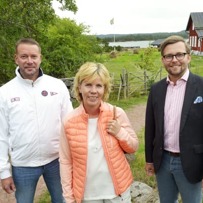 Stefan Wallin, Anna-Maja Henriksson ja Mats Löfström.