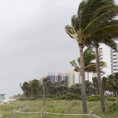 Floridan Miami Beach kuvattuna juuri ennen hurrikaani Irman saapumista 9. syyskuuta.  