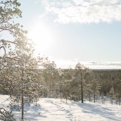 Talvinen maisema Kajaanin Akkovaaralta.