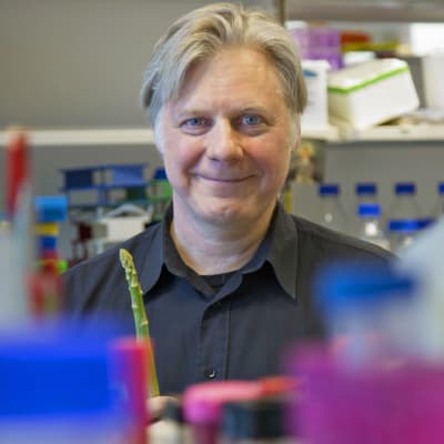 Tutkimusjohtaja Juha Klefström työpaikallaan Biomedicumissa.