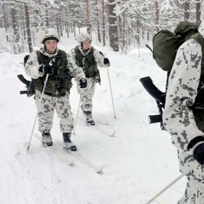 Kainuun prikaatin jääkäreitä hiihtoharjoituksessa Kuhmon Vuosangassa.