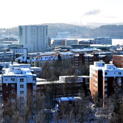 Kankaantornin huipun saunasta näkyy muun muassa Jyväskyän korkein toimistorakennus Innova ykkönen Lutakossa.