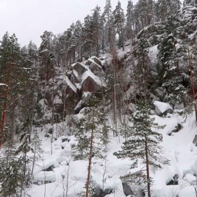 Etelä-Konneveden kansallispuiston maisemat ovat monin paikoin särmikkäät.