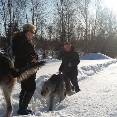 Mirja ja Marko Salmela koirineen