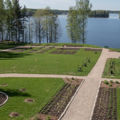 Kotkaniemen puutarha keväällä yläkerran ikkunasta
