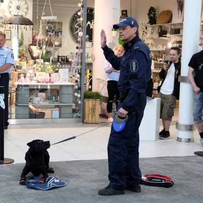 Sami Hämäläinen ja Sepe