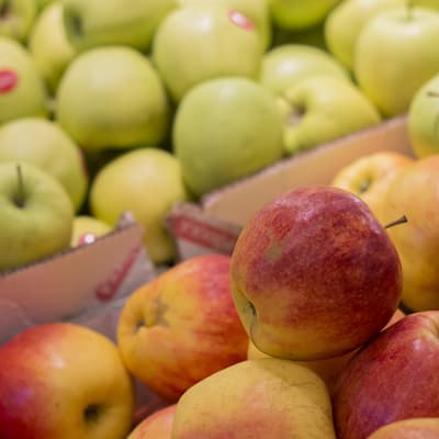 Kuvassa omenoita kaupan hedelmäosastolla