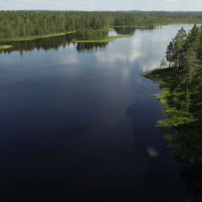 Järvimaisema Tiilikkajärven kansallispuistossa.