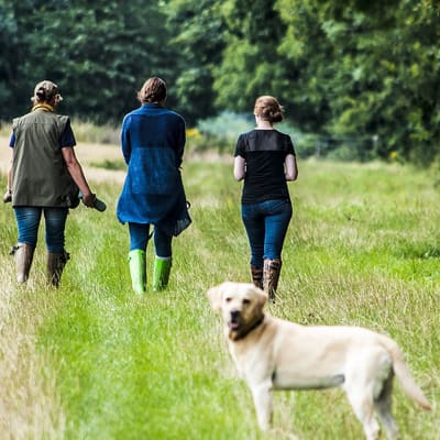 Naiset kävelylenkillä pellolla - koira kuvan etualalla.