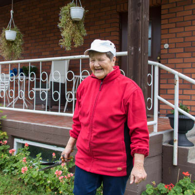 Liisa Haikala