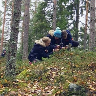 Lapsia metsässä valokuvaamassa maastoa