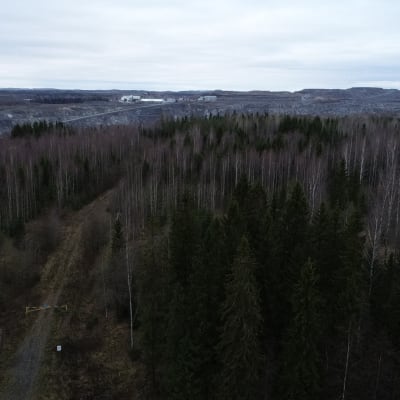Yaran kipsikasa Siilinjärvellä.