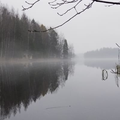 Hervantajärvi