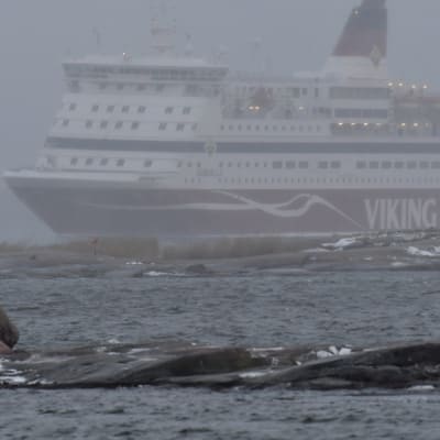 Viking Linen Gabriella saapuu Helsinkiin 2. tammikuuta 2019.