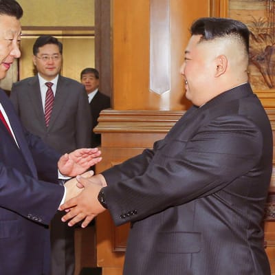  Xi Jinping ja Kim Jong-un.