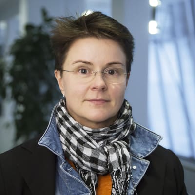 Sari Sarani, KRP:n kyberrikollisuuteen erikoistunut rikosylikomisario
