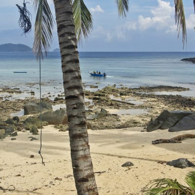 Hiekkaranta Tioman-saarella.