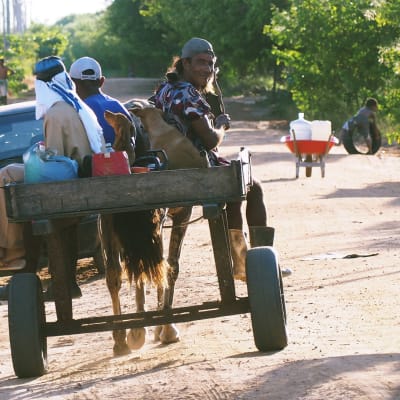 En åsna med vagn i Brasilien