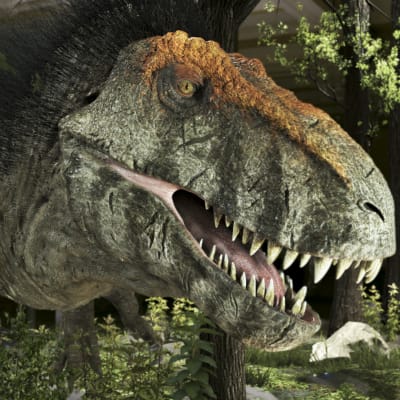 Tyrannosaurus rex on yksi maailman historian kuuluisimmista saalistajista.