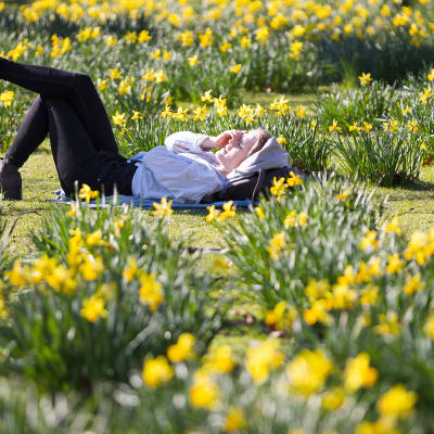Nuori nainen lekottelee vihreällä nurmikolla Lontoossa helmikuun lopulla 2019.