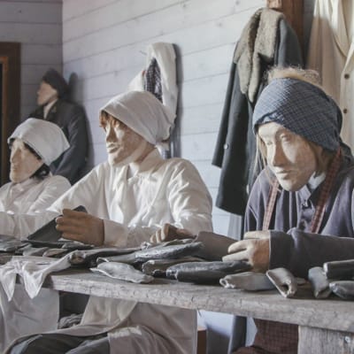 Tre uppstoppade dockor i ett museum, föreställer tre kvinnor i hucklen och förkläden som rensar sill.