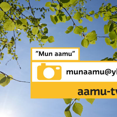 Mun aamu -kesäkuvat