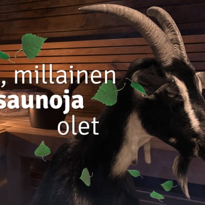 Pukki saunassa 