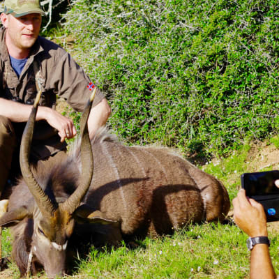 Norjalainen metsästysturisti kaatoi keväällä 2019 eteläafrikkalaisen suurtilan tiluksilla antiloopin.  Varoitus: video voi järkyttää herkimpiä katsojia, kuvissa näkyy kuollut hyppyantilooppi. 
