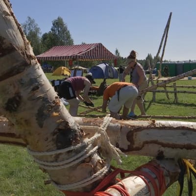 Partiolaiset rakentavat koivuista aitaa leirillä.