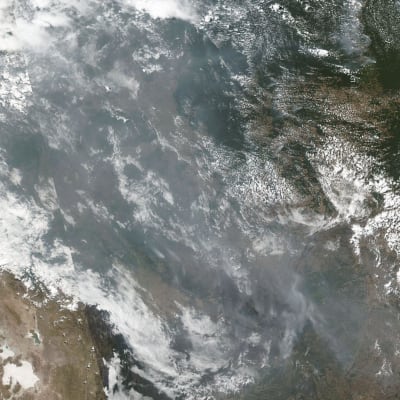 NASAn Suomi NPP -sääsatelliitilla otettua ja NOAA:n 22. elokuuta jakamaa kuvaa laajasta paloalueesta Brasiliassa, mm. Amazonin alueella. 