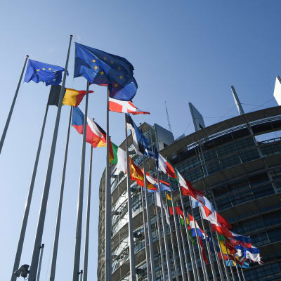 EU:n jäsenvaltioiden liput liehuivat parlamentin edustalla Strasburgissa Ranskassa 2. heinäkuuta. 