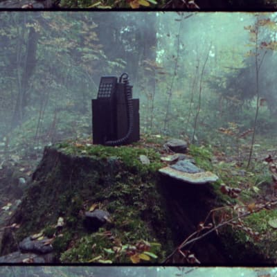 Vanhanaikainen, kannettava NMT-autopuhelin kannon nokassa sumuisessa metsässä