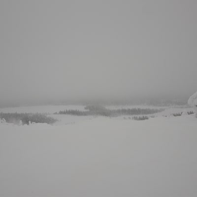 Näkymä Sallatunturin laskettelurinteen yläasemalta itään. Selkeällä säällä' täältä näkee Venäjän tuntureille asti. Lounaasta saapunut pyry peittää näkymän Natura-alueelle joulukuussa 2019.