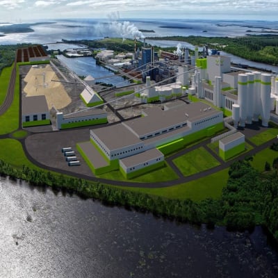 Metsä Fibren uutta biotuotetehdasta suunnitellaan Kemin Pajusaaren tehdasalueelle.